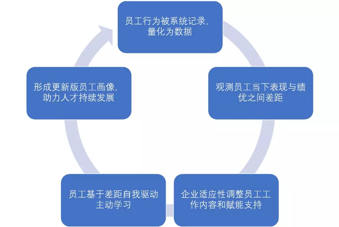 【夏博专栏】知识管理如何上承战略、下接人才