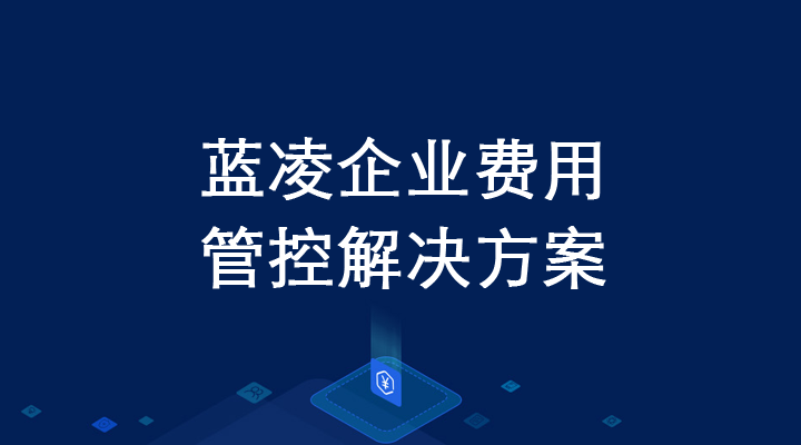 走向智慧财务——蓝凌智能化费用管控解决方案_14